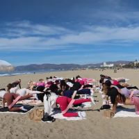 Flow Pilates Club ico