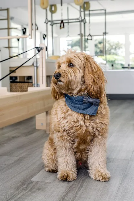 SILA Pilates Picture 8