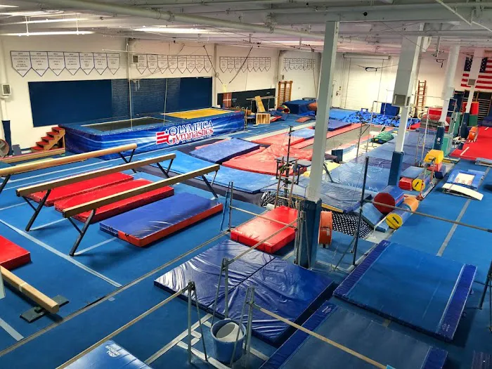 Olympica Gymnastics Picture 8