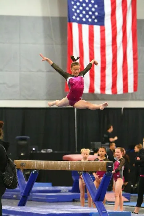 Olympica Gymnastics Picture 1