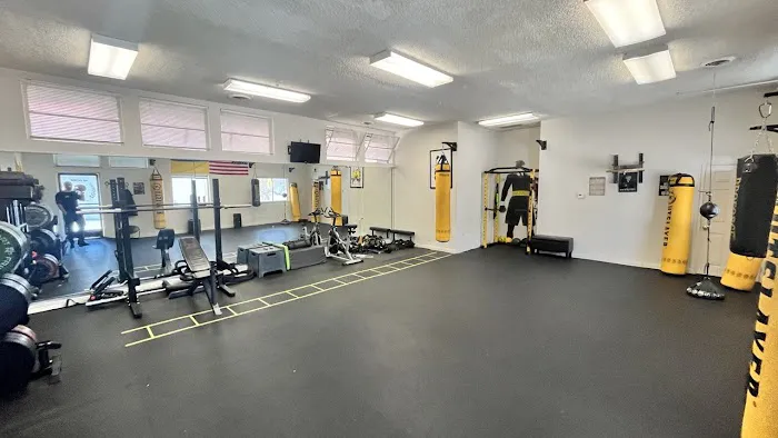 BOXING UA GYM Picture 4