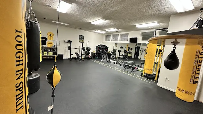 BOXING UA GYM Picture 3