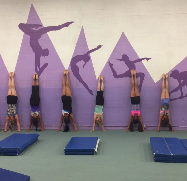 Baldy View Gymnastic Center Picture 2