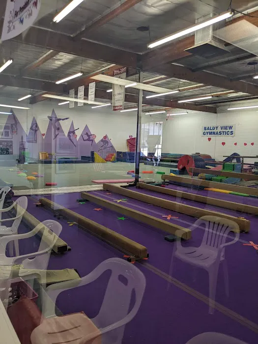 Baldy View Gymnastic Center Picture 5