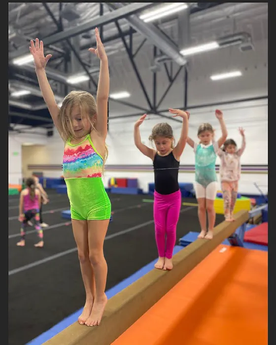 Flip 1st Gymnastics Center Picture 6