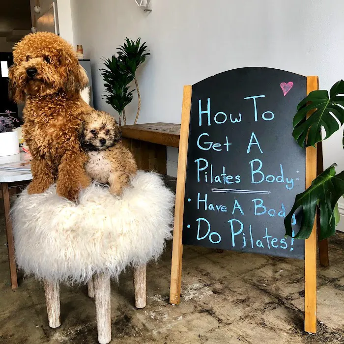 Tribe Pilates Picture 4