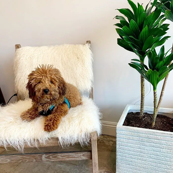 Tribe Pilates Picture 5