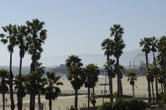 Movement Center Los Angeles | art in motion Picture 2