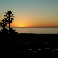 Movement Center Los Angeles | art in motion ico