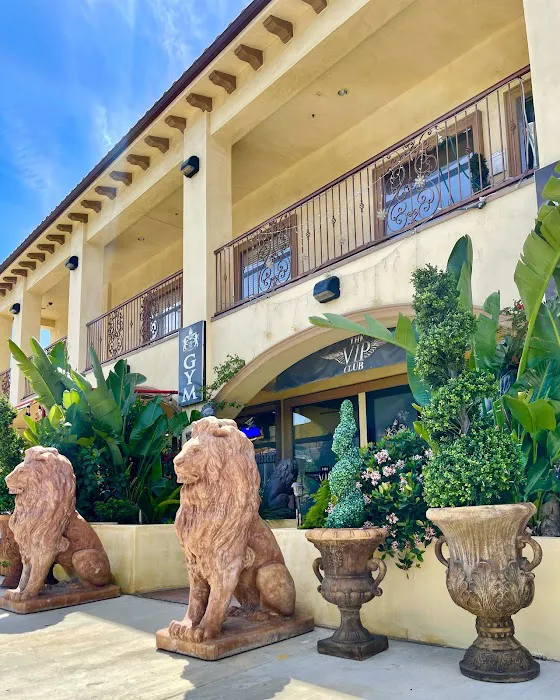 The VIP CLUB Gym Picture 2