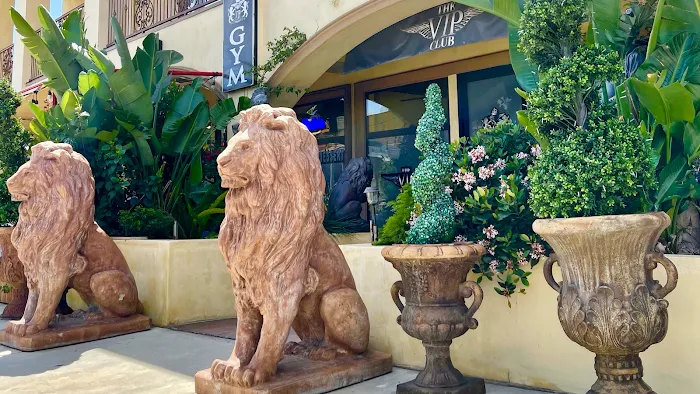 The VIP CLUB Gym Picture 9