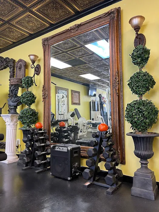 The VIP CLUB Gym Picture 8