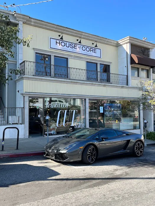 House of Core Picture 10