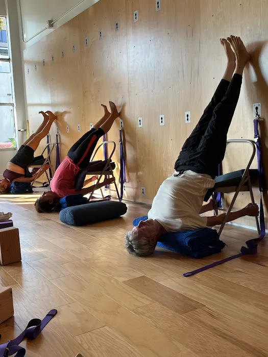 Iyengar Yoga Santa Monica Picture 4
