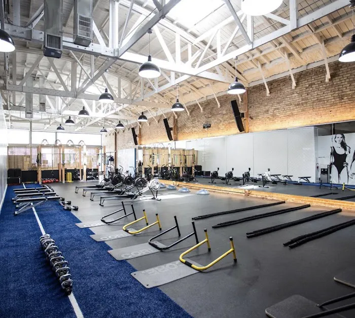 Training Mate Santa Monica Picture 3