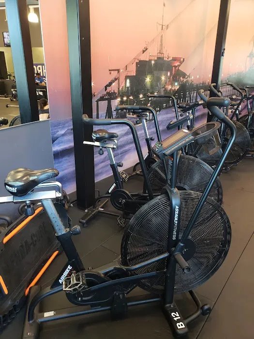 Basecamp Fitness Santa Monica Picture 7