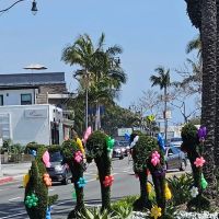 House of Fitness ico