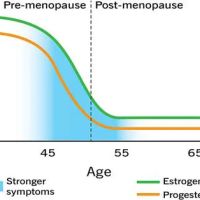 SoulSpark Integrated Healing, LLC ico
