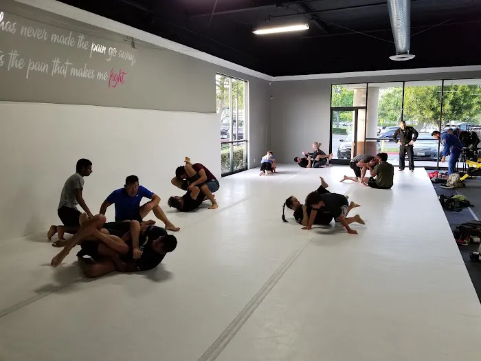 Mercado Muay Thai & Fitness Picture 6