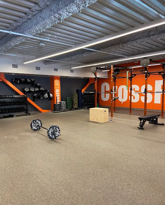CrossFit LSC Picture 2