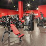 Shredz Gym