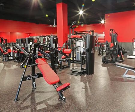 Shredz Gym