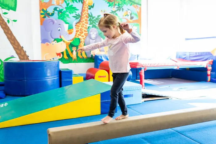 National Gymnastics Training Center Picture 5