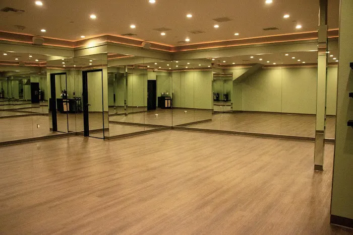 The Wild Yogi Studio Picture 8