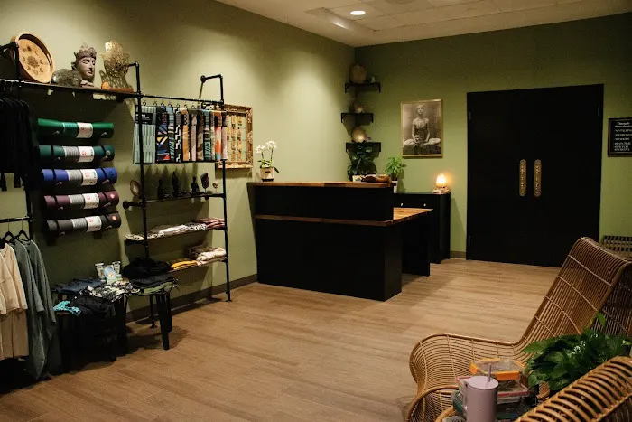 The Wild Yogi Studio Picture 2