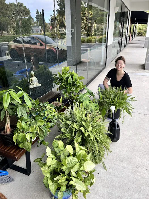 The Wild Yogi Studio Picture 6