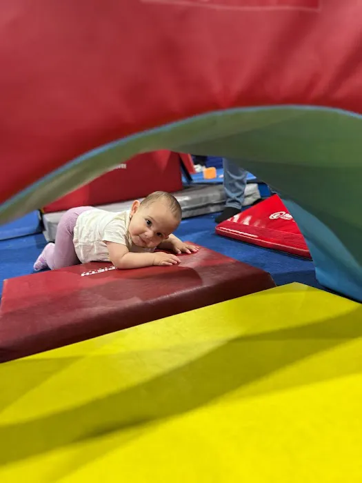 The Adaptive Athlete Picture 1