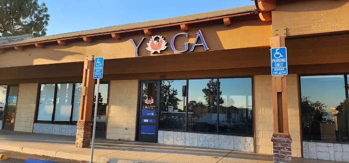 The Mind-Body Connection Yoga & Pilates Studio Picture 7