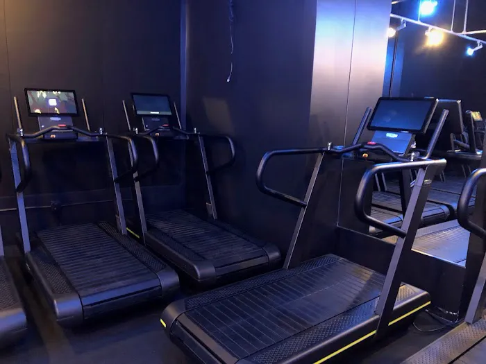 Coreology - Santa Monica Picture 2