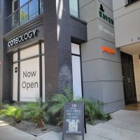 Coreology - Santa Monica ico