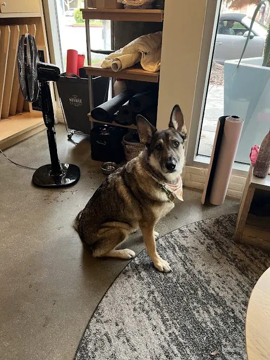 Sweat Yoga Picture 4