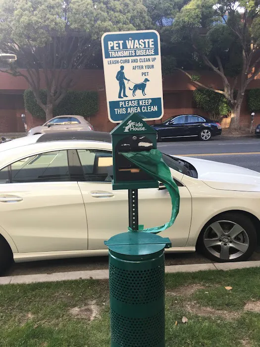 Sweat Yoga Picture 7