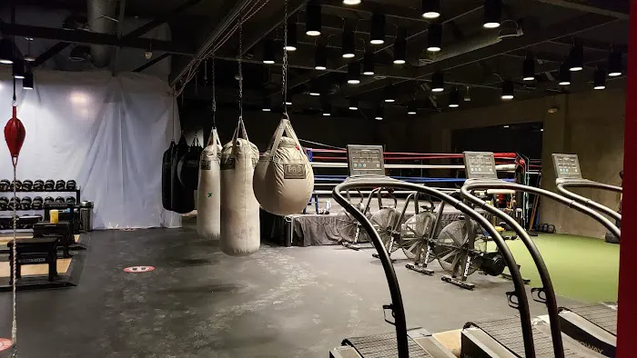 Gloveworx Picture 10