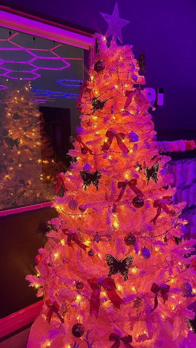 SWC Lagree Picture 7