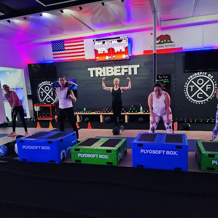 Shamba Fit Picture 6