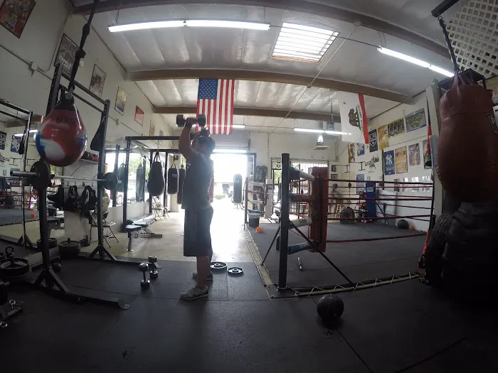 The Shop. Strength and Fitness Picture 3