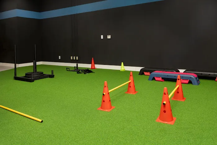 Campeon Fitness Picture 3