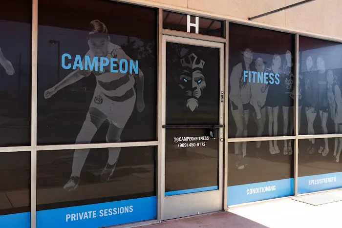 Campeon Fitness Picture 9