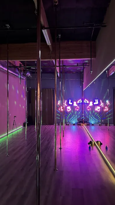 House of Pole Picture 4