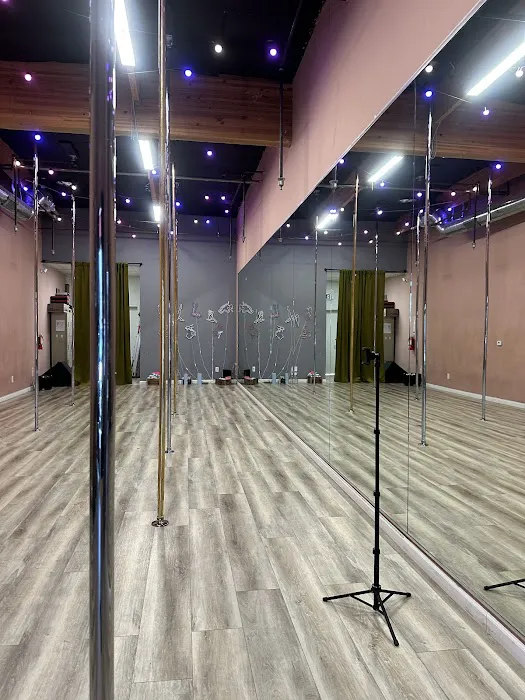 House of Pole Picture 3