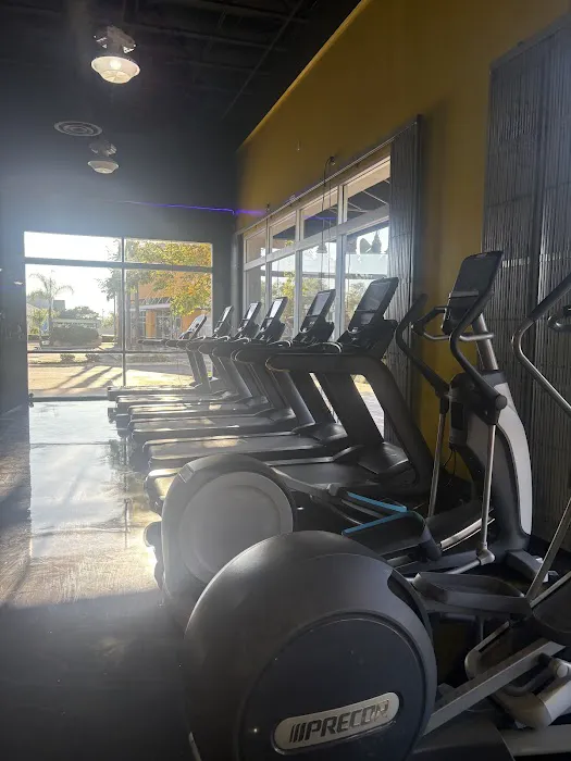 Fit Nation Gym Ontario Picture 5