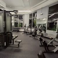 Anytime Fitness ico