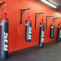 Sunland Fighting Club ico