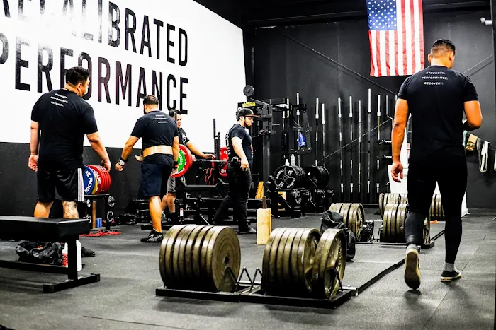 Recalibrated Performance Picture 7