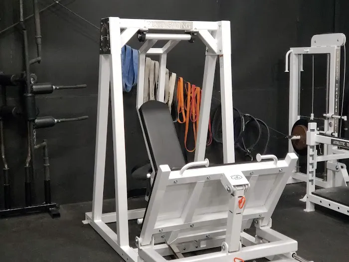 Recalibrated Performance Picture 8