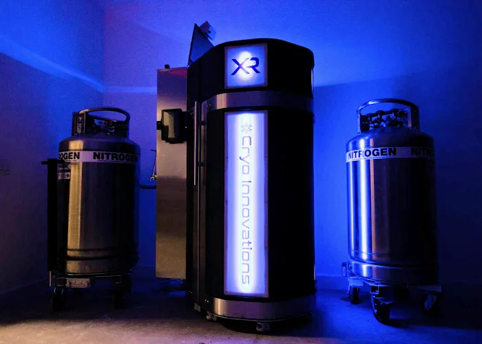 Recalibrated Performance Picture 2